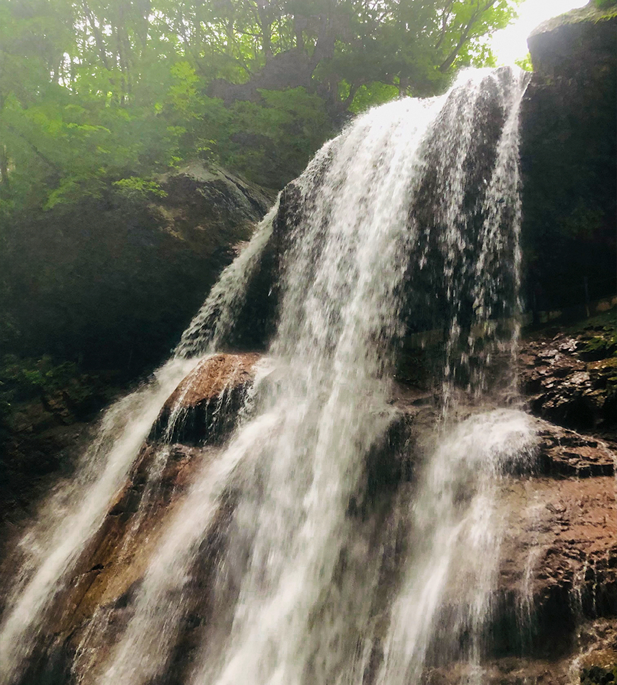 inzicht door beweging met Taiken foto van een waterval met groene bomen lang het water